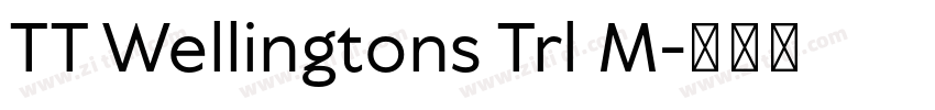 TT Wellingtons Trl M字体转换